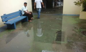 WhatsApp Image 2017-07-15 at 10.58.41